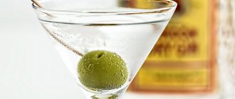 Что такое джин, как его выбрать и как правильно пить