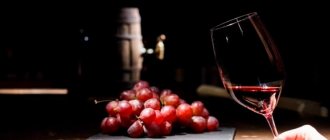 Характеристики красного вина апсны