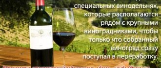 Калорийность Вино, столовое, белое. Химический состав и пищевая ценность