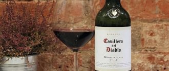 Особенности чилийского вина