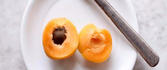 разрезанный абрикос