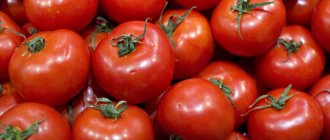 Рецепт приготовления самогона из томатной пасты или томатного сока