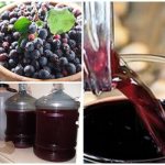 технология приготовления домашнего вина из ирги