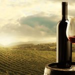 тосканские вина рейтинг