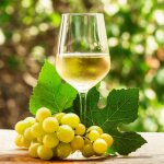 Вино из белого винограда своими руками в домашних условиях